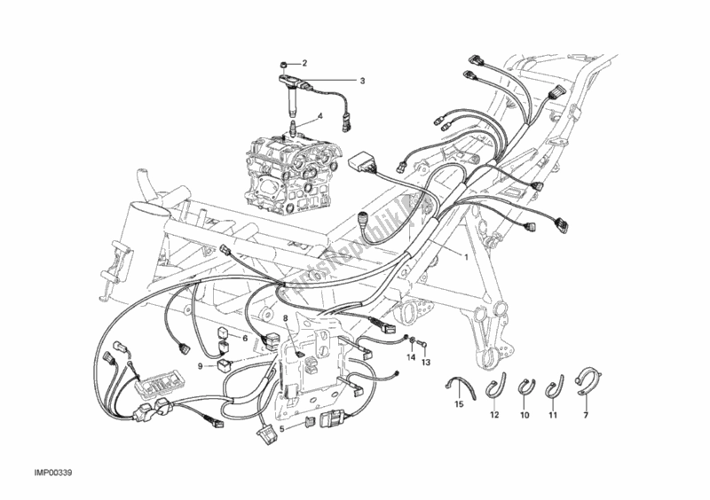 All parts for the Wiring Harness of the Ducati Superbike 749 Dark USA 2006
